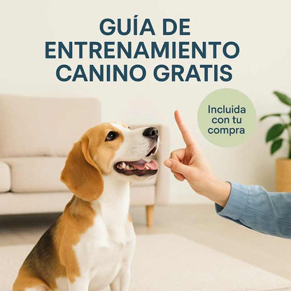 DOGTRAINER PAD®