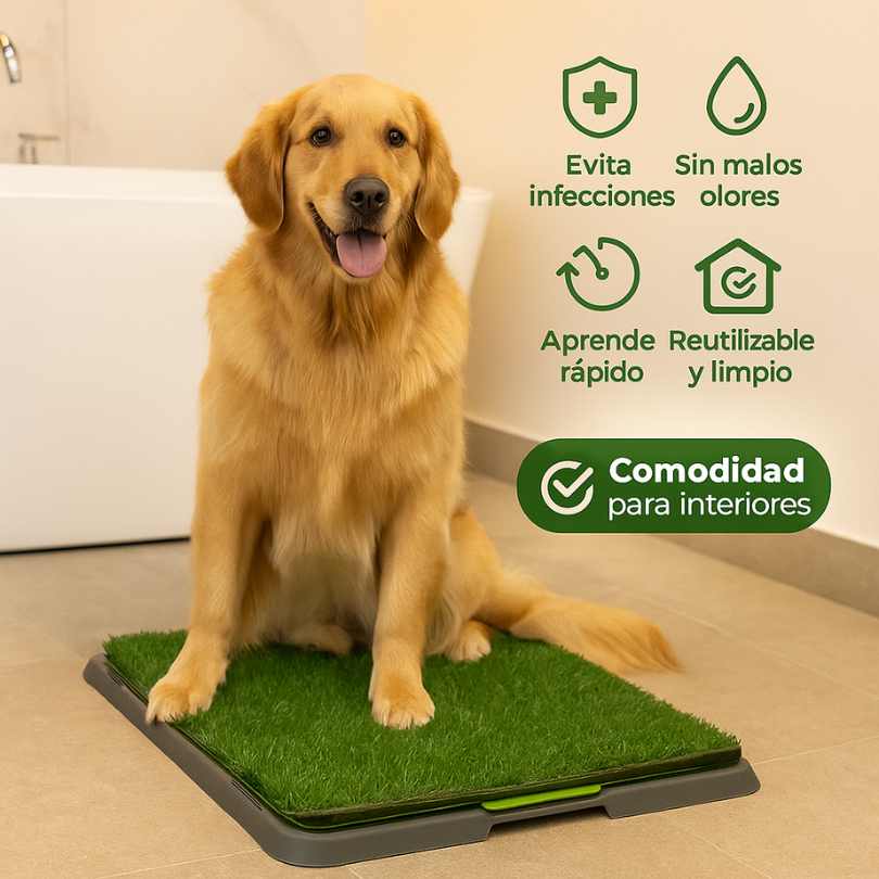DOGTRAINER PAD®