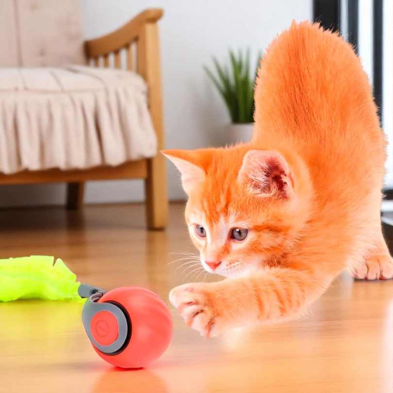PELOTAVIVA - Pelota de aventura interactiva para tus gatos 2x1
