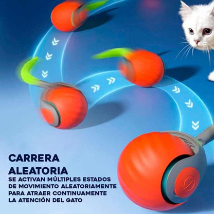 PELOTAVIVA - Pelota de aventura interactiva para tus gatos 2x1