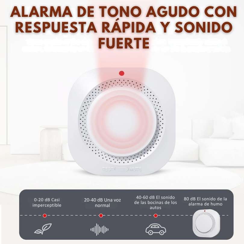 HomeSafe® - DETECTA EL PELIGRO ANTES DE QUE SEA TARDE