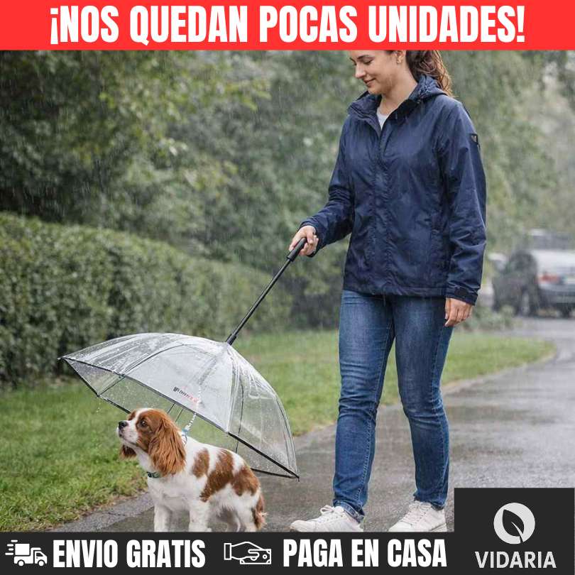PAWDRY® - EL DETALLE QUE CAMBIA LOS PASEOS BAJO LA LLUVIA