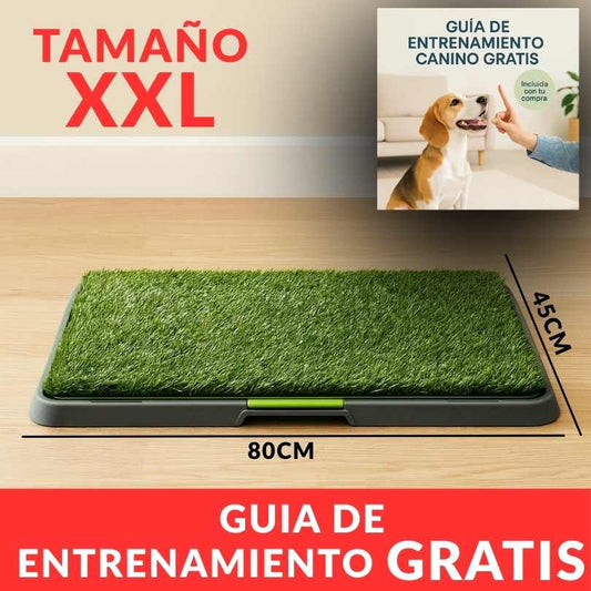 DOGTRAINER PAD®
