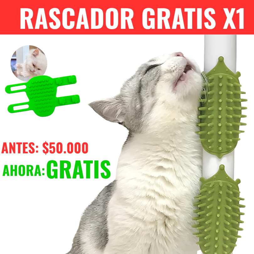 Cat Garden+® - La forma más sana de mantener feliz a tu gato 💚