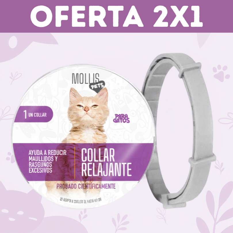 2X1 PawHappy™ Collar de feromonas para Gatos