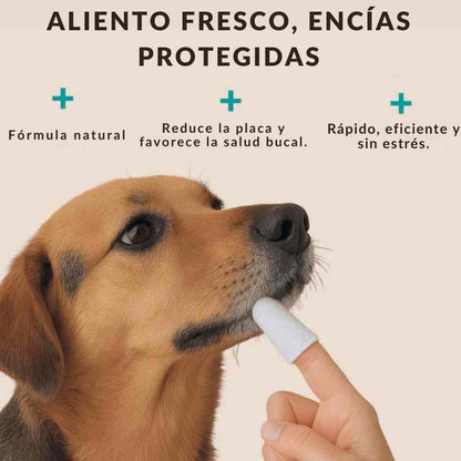 PetTeeth® - Toallitas de higiene dental para mascotas
