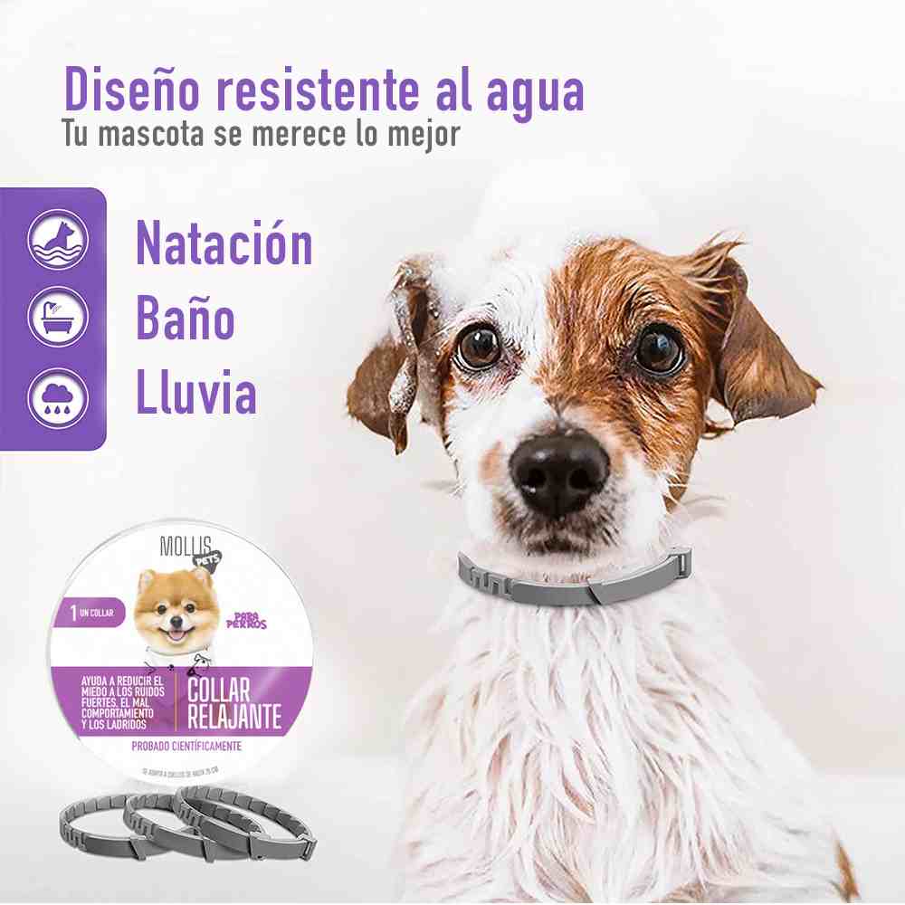 2X1 PawHappy™ Collar de feromonas para Gatos y Perros
