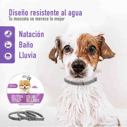 2X1 PawHappy™ Collar de feromonas para Gatos y Perros