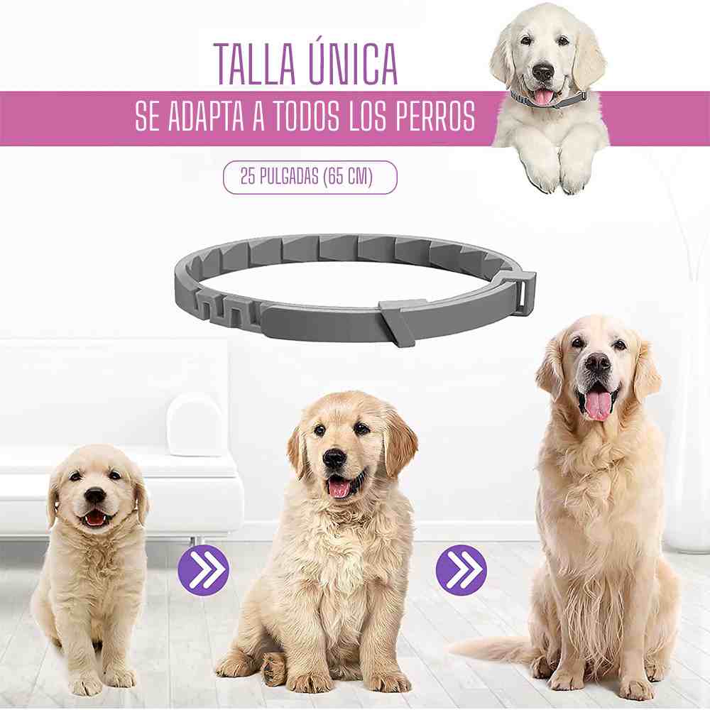 2X1 PawHappy™ Collar de feromonas para Gatos y Perros