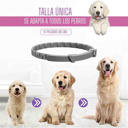 2X1 PawHappy™ Collar de feromonas para Gatos y Perros