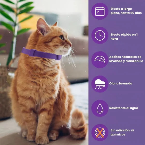 2X1 PawHappy™ Collar de feromonas para Gatos