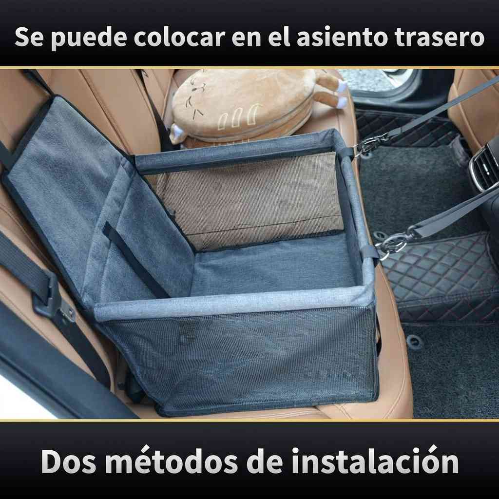 PawRide™ - Manten a tu peludito seguro y feliz❤️ 🐾