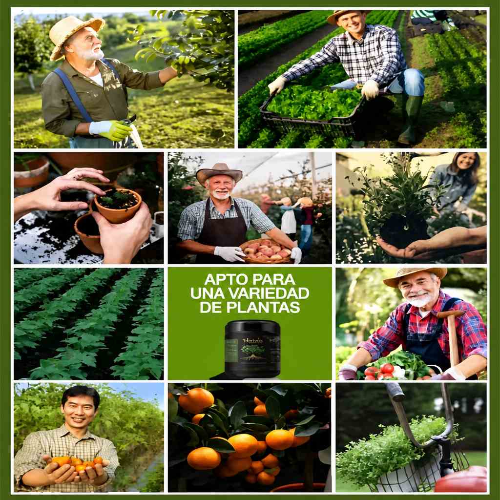 Viresta™ - Activador de Suelo Concentrado 🌱