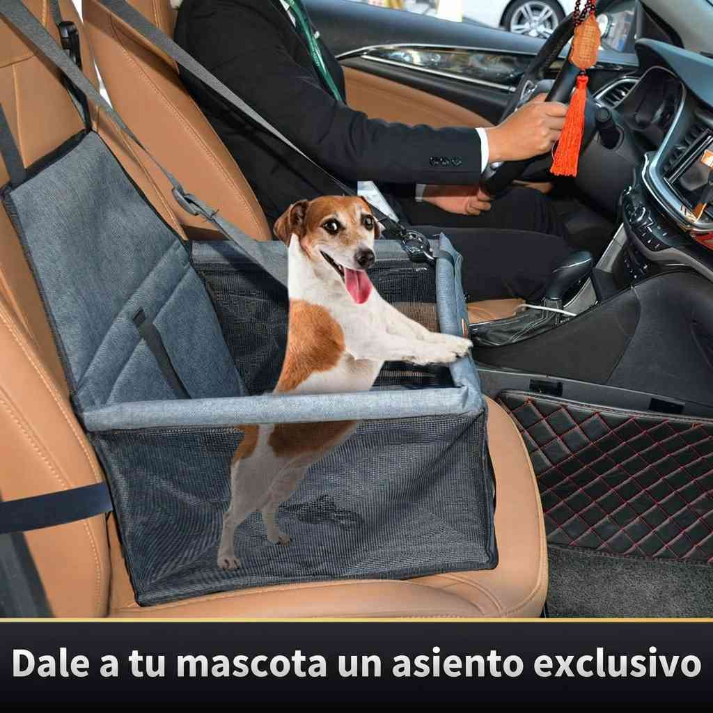 PawRide™ - Manten a tu peludito seguro y feliz❤️ 🐾