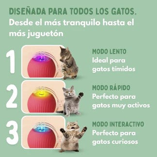 PELOTAVIVA - Pelota de aventura interactiva para tus gatos 2x1