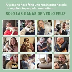 PELOTAVIVA - Pelota de aventura interactiva para tus gatos 2x1