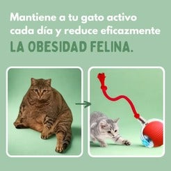 PELOTAVIVA - Pelota de aventura interactiva para tus gatos 2x1