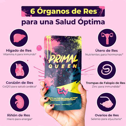 PRIMAL QUEEN® - Superalimento de Órganos de Res Optimizado para Mujeres